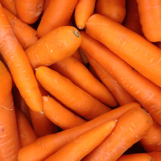 Stock feed carrots