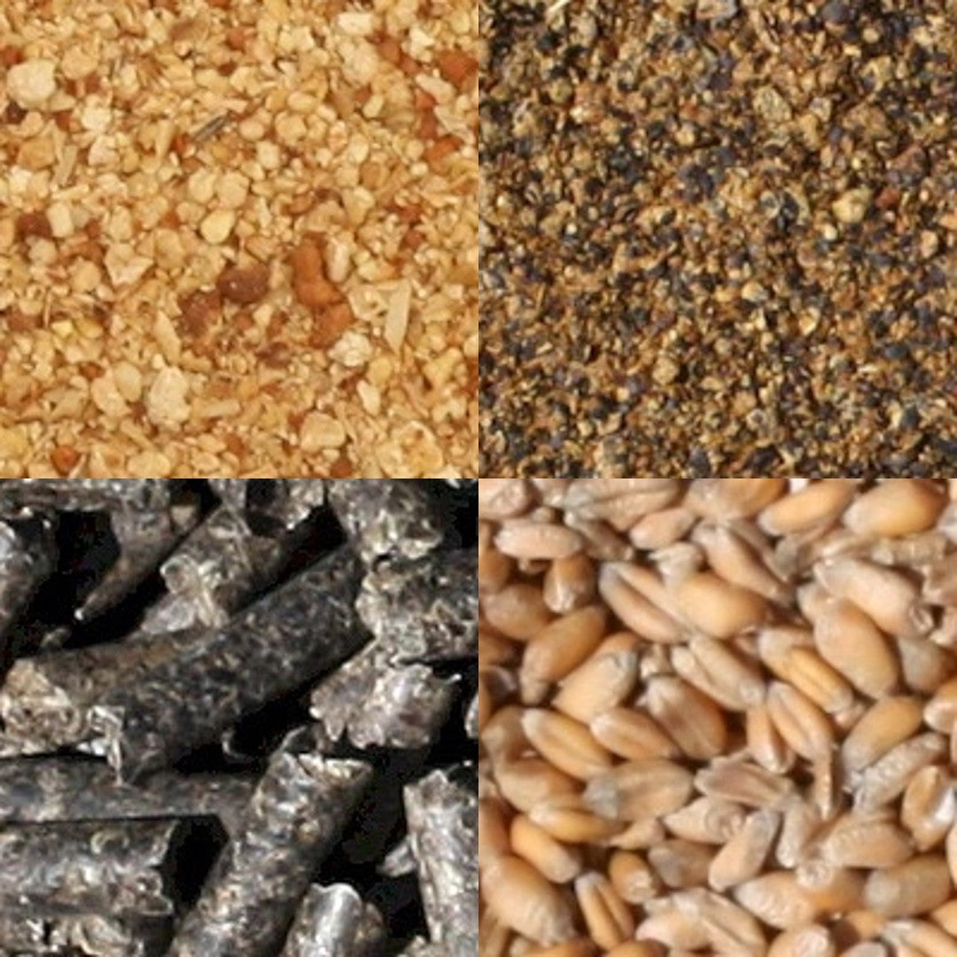 Compound feeds for Dairy, Calf, Beef and Sheep – GP Feeds